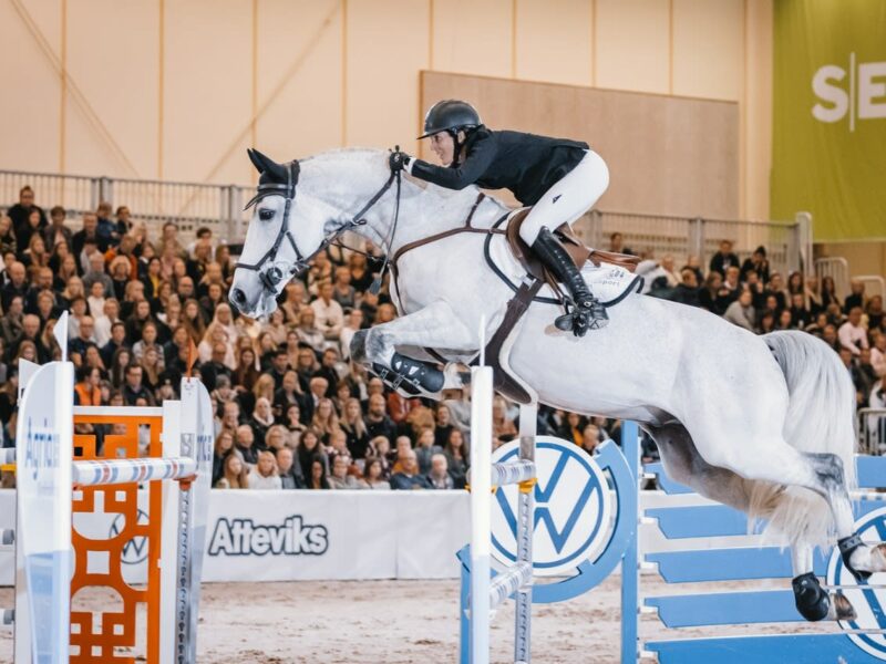 Jönköping Horse Show satsar vidare på Hästlovet! Jönköping Horse Show satsar vidare på Hästlovet!